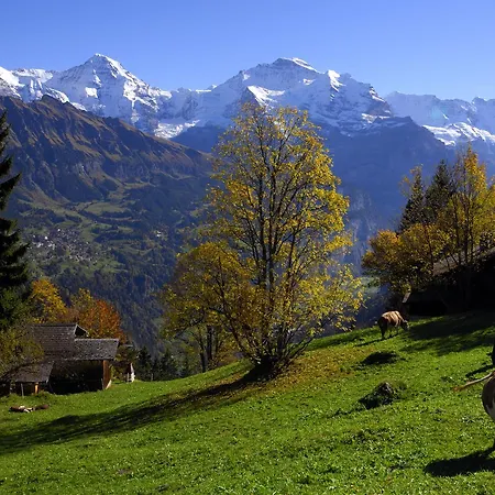 Restaurant Waldrand, * Isenfluh