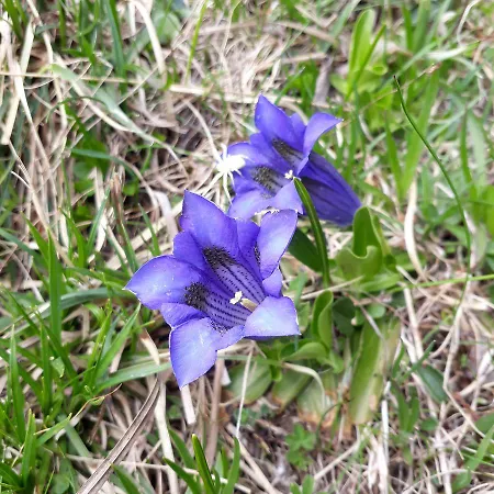 Otel Restaurant Waldrand,