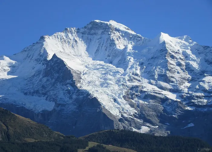 Restaurant Waldrand, 酒店 *