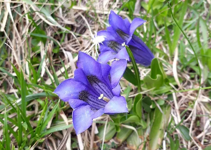 Hotel Restaurant Waldrand,