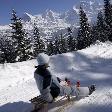 Restaurant Waldrand, *