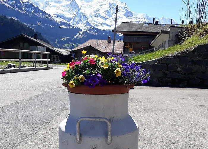 Hotel Restaurant Waldrand , *